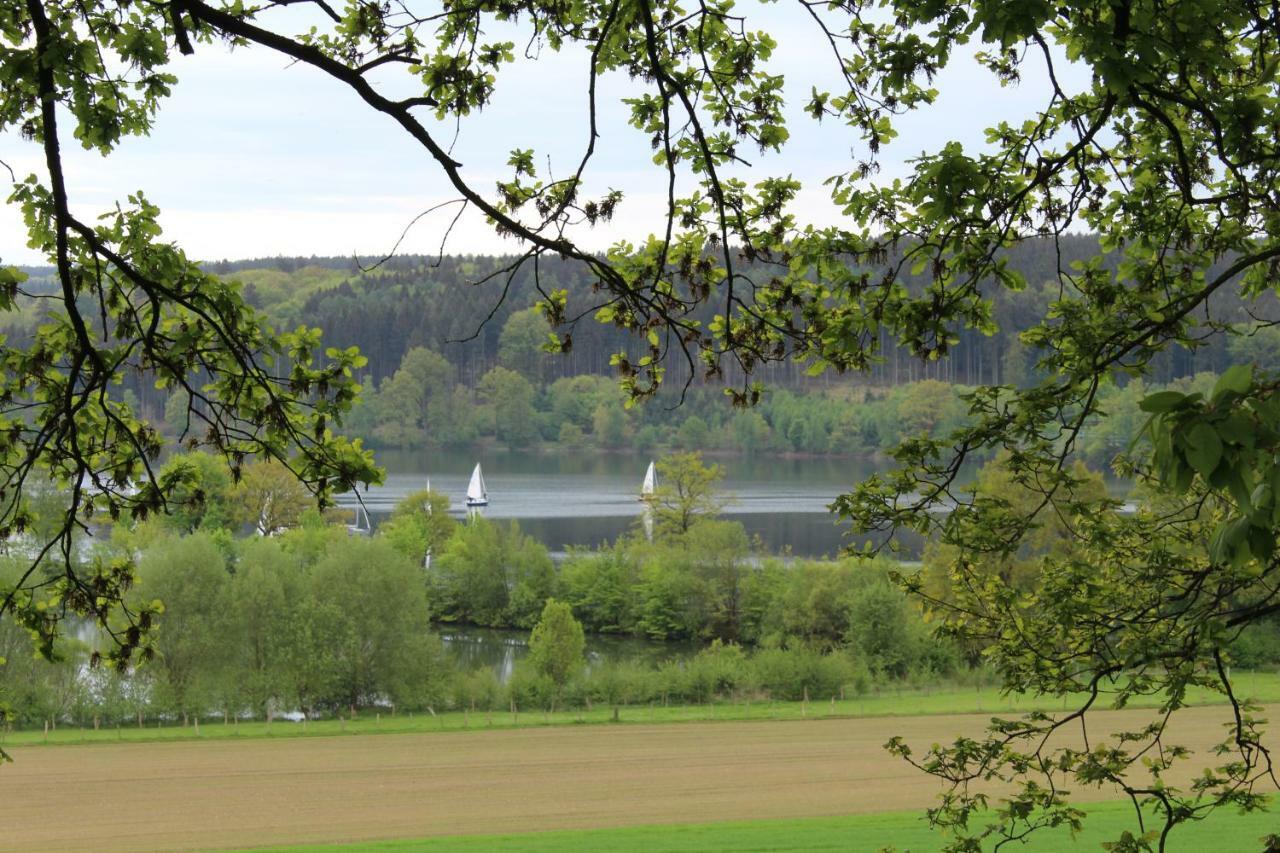 Ferienwohnung "Am Fischteich" 莫内西 外观 照片